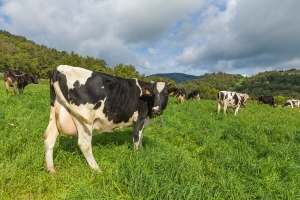 ferme de réat